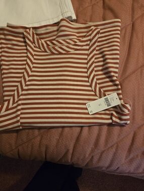 Nwt Anthropologie Maeve Rust and White Striped Knit Top